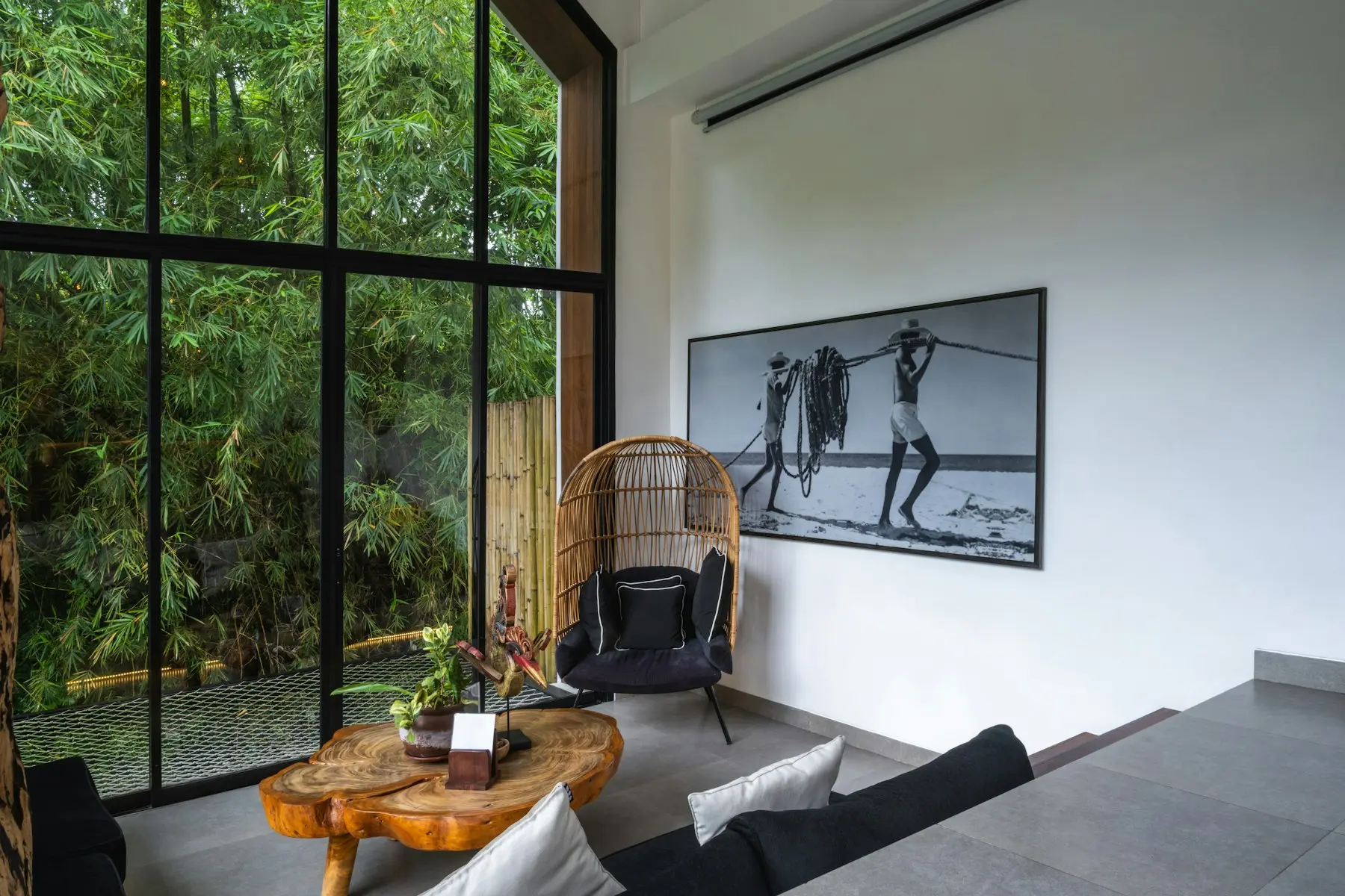 Sunlit contemporary living room opening onto a green outdoor space