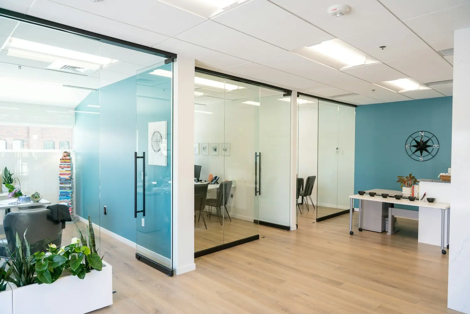 Modern office interior with natural light, wood finishes and plants